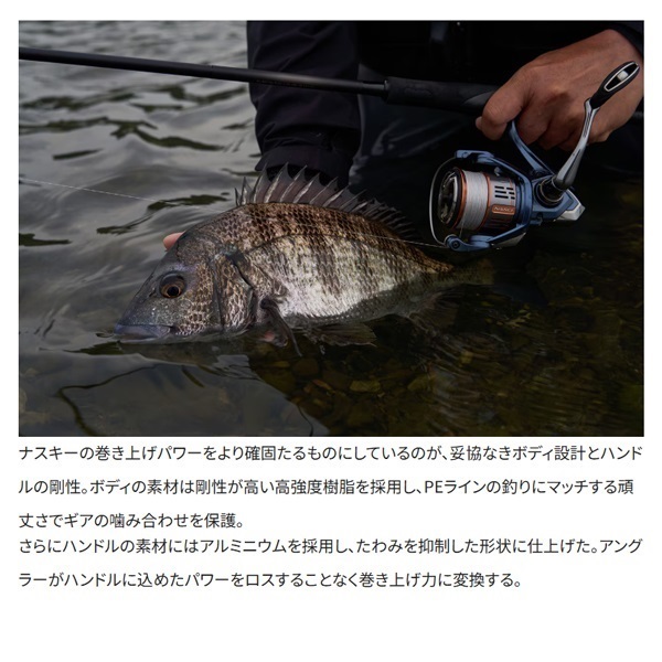 26 ナスキー